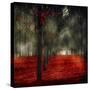 Crimson 12-Tracey Telik-Stretched Canvas