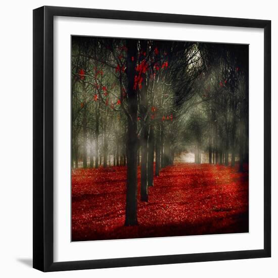 Crimson 12-Tracey Telik-Framed Art Print