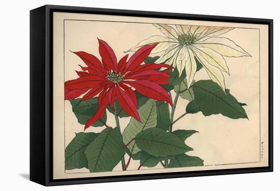 Crimson and White Poinsettia-null-Framed Stretched Canvas