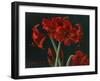 Crimson Beauties-Christopher Pierce-Framed Giclee Print