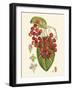 Crimson Berries II-Samuel Curtis-Framed Art Print