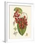 Crimson Berries II-Samuel Curtis-Framed Art Print