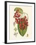 Crimson Berries II-Samuel Curtis-Framed Art Print