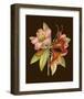 Crimson Blooms I-Samuel Curtis-Framed Art Print