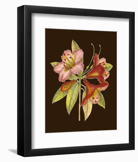 Crimson Blooms I-Samuel Curtis-Framed Art Print