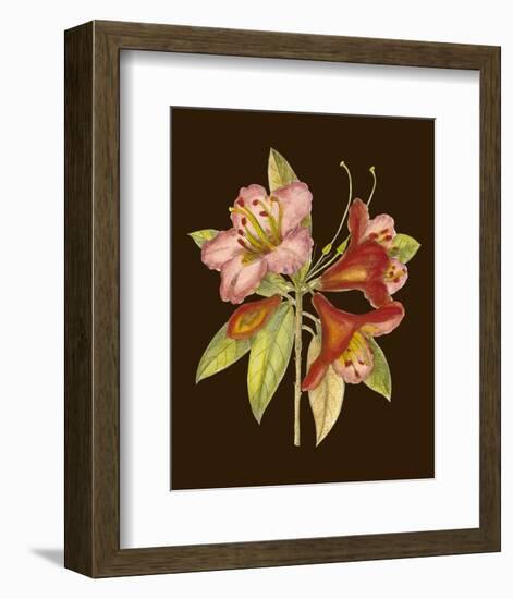 Crimson Blooms I-Samuel Curtis-Framed Art Print