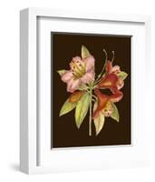 Crimson Blooms I-Samuel Curtis-Framed Art Print