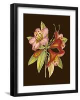 Crimson Blooms I-Samuel Curtis-Framed Art Print