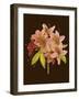 Crimson Blooms II-Samuel Curtis-Framed Art Print