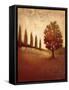 Crimson Dawn-Edward Raymes-Framed Stretched Canvas