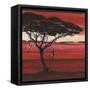 Crimson Earth II-Julia Hawkins-Framed Stretched Canvas