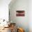 Crimson Earth II-Julia Hawkins-Stretched Canvas displayed on a wall