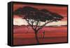 Crimson Earth II-Julia Hawkins-Framed Stretched Canvas