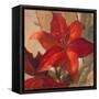 Crimson Fleurish II-Lanie Loreth-Framed Stretched Canvas