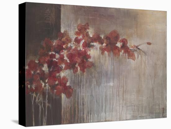 Crimson Flora-Terri Burris-Stretched Canvas
