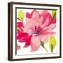 Crimson Flower II-Sandra Jacobs-Framed Giclee Print