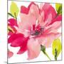 Crimson Flower II-Sandra Jacobs-Mounted Giclee Print