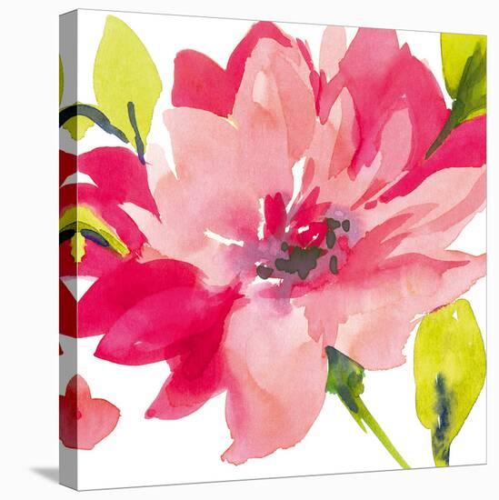 Crimson Flower II-Sandra Jacobs-Stretched Canvas