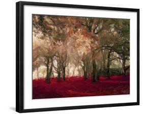 Crimson Forest Floor A2-Taylor Greene-Framed Art Print