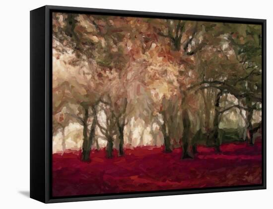 Crimson Forest Floor A2-Taylor Greene-Framed Stretched Canvas