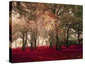 Crimson Forest Floor A2-Taylor Greene-Stretched Canvas