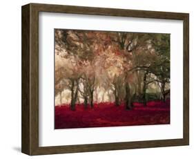 Crimson Forest Floor A2-Taylor Greene-Framed Art Print