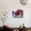 Crimson King Falls-Natasha Wescoat-Giclee Print displayed on a wall