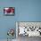 Crimson King Falls-Natasha Wescoat-Framed Stretched Canvas displayed on a wall