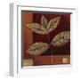 Crimson Leaf Study II-Ursula Salemink-Roos-Framed Giclee Print