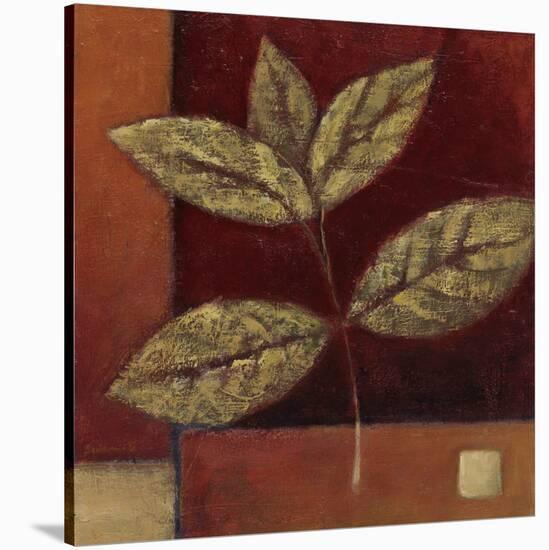 Crimson Leaf Study II-Ursula Salemink-Roos-Stretched Canvas