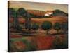 Crimson Light in Tuscany-John Zaccheo-Stretched Canvas