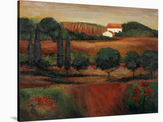 Crimson Light in Tuscany-John Zaccheo-Stretched Canvas