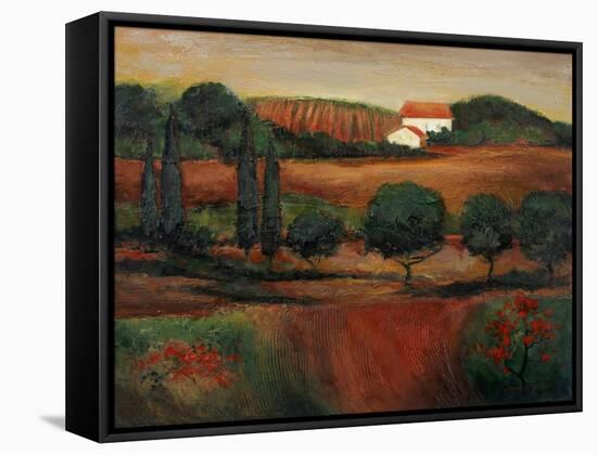 Crimson Light in Tuscany-John Zaccheo-Framed Stretched Canvas