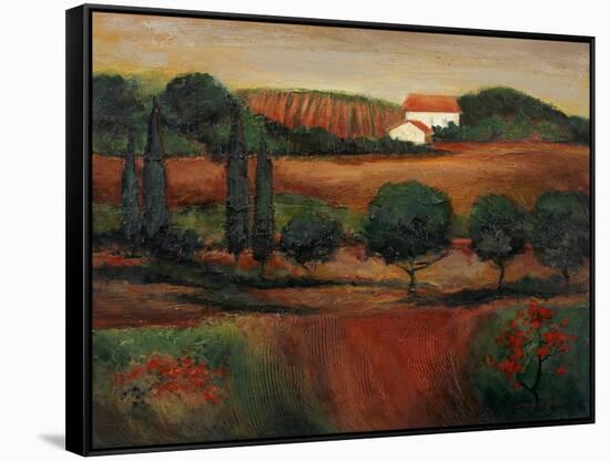 Crimson Light in Tuscany-John Zaccheo-Framed Stretched Canvas