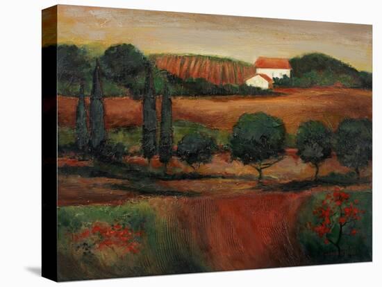 Crimson Light in Tuscany-John Zaccheo-Stretched Canvas