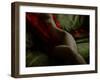 Crimson Olive Ivory-Lauren Bentley-Framed Premium Photographic Print