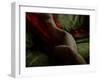 Crimson Olive Ivory-Lauren Bentley-Framed Premium Photographic Print