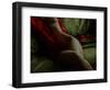 Crimson Olive Ivory-Lauren Bentley-Framed Photographic Print