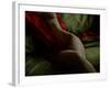 Crimson Olive Ivory-Lauren Bentley-Framed Photographic Print