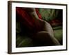 Crimson Olive Ivory-Lauren Bentley-Framed Photographic Print