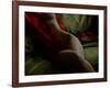 Crimson Olive Ivory-Lauren Bentley-Framed Photographic Print