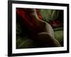 Crimson Olive Ivory-Lauren Bentley-Framed Photographic Print