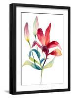 Crimson Paradise Lily-Lanie Loreth-Framed Art Print