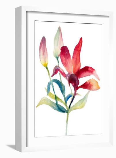 Crimson Paradise Lily-Lanie Loreth-Framed Art Print