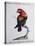 Crimson Parrot from Moluccan Islands (Psittacus Coccineus Moluccensis)-null-Stretched Canvas