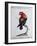 Crimson Parrot from Moluccan Islands (Psittacus Coccineus Moluccensis)-null-Framed Giclee Print