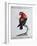 Crimson Parrot from Moluccan Islands (Psittacus Coccineus Moluccensis)-null-Framed Giclee Print