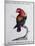 Crimson Parrot from Moluccan Islands (Psittacus Coccineus Moluccensis)-null-Mounted Giclee Print