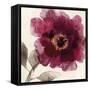 Crimson Peony I-Asia Jensen-Framed Stretched Canvas