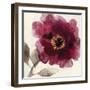 Crimson Peony I-Asia Jensen-Framed Art Print